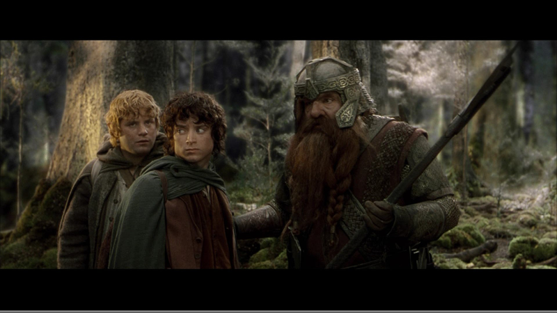 Illustration for article titled Lord of the Rings HD vs. DVD Screen Captures: Get Ready to Buy a Blu-ray Player